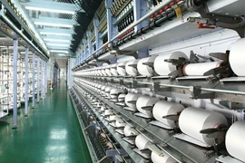 Sợi Thế Kỷ lên kế hoạch lãi kỷ lục 300 tỷ đồng, chào bán cổ phiếu riêng lẻ