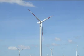 Agribank hạ giá khoản nợ 1.209 tỷ của Năng lượng Tái tạo Việt Nam