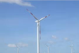 Agribank hạ giá khoản nợ 1.209 tỷ của Năng lượng Tái tạo Việt Nam