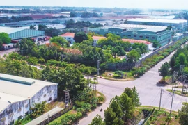 Khu công nghiệp Tín Nghĩa lãi đột biến quý 2 nhờ doanh thu thu tài chính