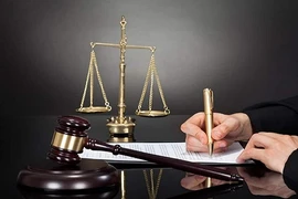 Xử phạt Meey Land, Trịnh Gia Nguyễn, DIC Holdings và Thuỷ điện Đắk RT’íh 