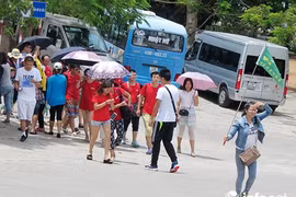 Đà Nẵng rà soát thực trạng của các “tour 0 đồng”