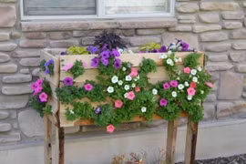 Khu vườn rau đẹp lý tưởng từ những tấm pallet suýt vứt bỏ