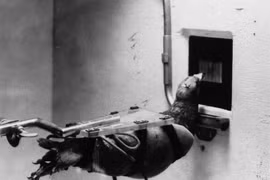 Những dự án quân sự kỳ dị nhất - có loại vẫn được sử dụng tới nay