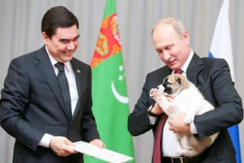 Điểm loạt món quà động vật đặc biệt của Tổng thống Nga Putin