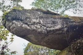 Kỳ bí hang rắn thần khổng lồ linh thiêng chỉ có ở Thái Lan