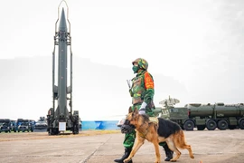 Việt Nam sở hữu tên lửa đạn đạo mạnh nhất Đông Nam Á