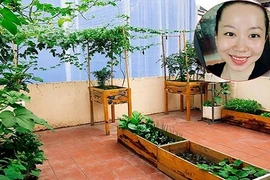 Vườn rau trồng trong thùng gỗ siêu năng suất của cô nàng 9X