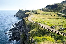 Jeju: Đặc khu kinh tế thành công nhất của Hàn Quốc