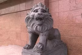 Cười đau bụng với sư tử “ngáo đá” dựng trước cửa nhà 