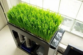 Bật cười xem ảnh hài hước về chiếc máy tính