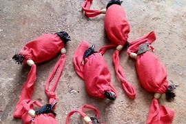 Nghề “tận diệt chim rừng“: Lạ lùng chuyện mua chim trên cây