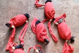 Nghề “tận diệt chim rừng“: Lạ lùng chuyện mua chim trên cây