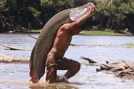 Hé lộ hình ảnh săn cá khủng giữa sông ít người biết