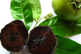 Mục sở thị hồng đen Nhật Bản giá gần 200.000 đồng/quả