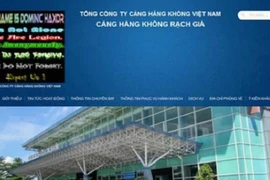 Hacker tấn công loạt website sân bay là người Việt?