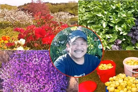"Vườn địa đàng" đẹp như mơ chẳng thiếu cây gì của ông bố Việt ở Đức