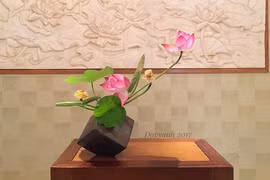 Xem “soái ca” Việt cắm sen trang trí nhà siêu đẹp