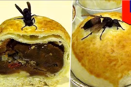 Loạt bánh trung thu siêu dị chỉ có ở Trung Quốc