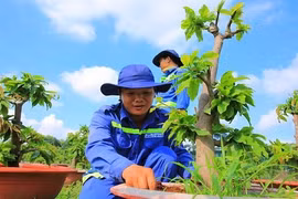 Khó tin: Từ bãi rác ô nhiễm thành vườn cây công nghệ cao 