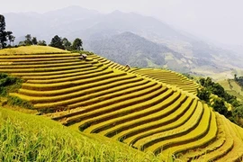 Những tour du lịch giá mềm hút khách dịp 2/9