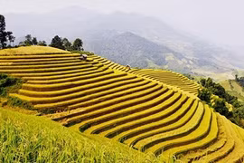 Những tour du lịch giá mềm hút khách dịp 2/9