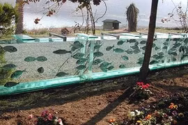 Thừa tiền, đại gia Thổ Nhĩ Kỳ xây thủy cung khổng lồ làm...hàng rào