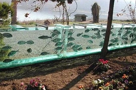 Thừa tiền, đại gia Thổ Nhĩ Kỳ xây thủy cung khổng lồ làm...hàng rào