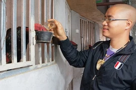 Trại gà chọi trăm triệu trên sân thượng của 9X Hà thành