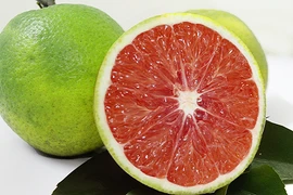 Những “dị quả” không hạt gây sốt thị trường Việt