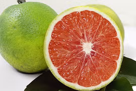 Những “dị quả” không hạt gây sốt thị trường Việt