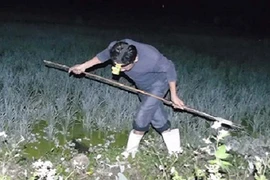 Lùng sục đi săn “chân dài” trong đêm