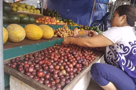 “Trố mắt” nhìn mận lạ đội lốt “mận Sapa” nhan nhản trên thị trường