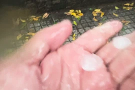 Khắp các quận huyện ở TP HCM có mưa to, nhiều nơi mưa có mưa đá 