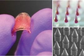 Ấn tượng với nghiên cứu miếng dán vắc xin của nhà khoa học Việt tại Mỹ