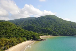 Đến Việt Nam để thưởng thức những điều cực đặc biệt này