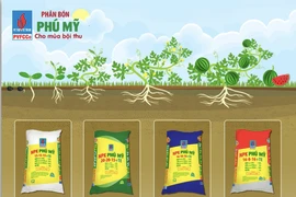 DPM: Sản lượng sản xuất phân bón Phú Mỹ tăng cao trong tháng 1 và 2