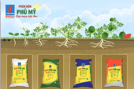 DPM: Sản lượng sản xuất phân bón Phú Mỹ tăng cao trong tháng 1 và 2