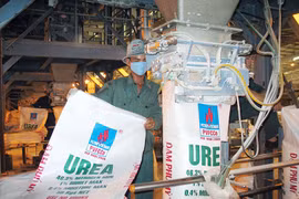 DPM kỳ vọng giá bán urê trung bình năm 2022 đạt 600 USD/tấn