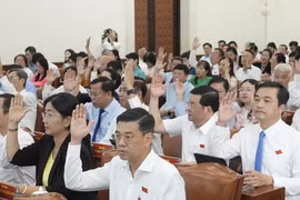 HĐND TP HCM tán thành đề án hợp nhất 