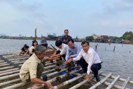 Tăng cường phối hợp giữa VUSTA và LHH địa phương: Cần có sự đột phá!