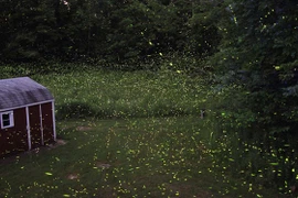 Những bí ẩn khó giải nhất lịch sử 