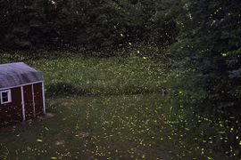 Những bí ẩn khó giải nhất lịch sử 