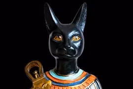 Tại sao mèo đen lại có tiếng xấu mang điều xui xẻo 