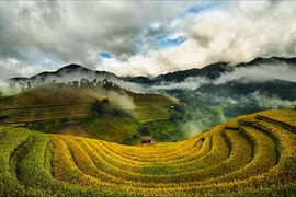 Tháng 9 mùa lúa chín: Vừa mải ngắm vừa có ảnh nghìn like