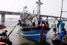 Quảng Trị: Khổ vì cửa biển bị bồi lấp, dân tranh chỗ neo tàu