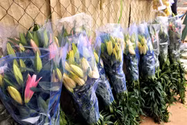Ảnh: Hoa ly giá "bèo" xếp đầy đường phục vụ Rằm tháng Giêng