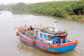 Đi trú bão, tàu hàng và 13 người mất tích trong đêm