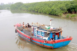 Đi trú bão, tàu hàng và 13 người mất tích trong đêm