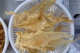 Bong bóng cá được giới nhà giàu ráo riết săn lùng vì điều này